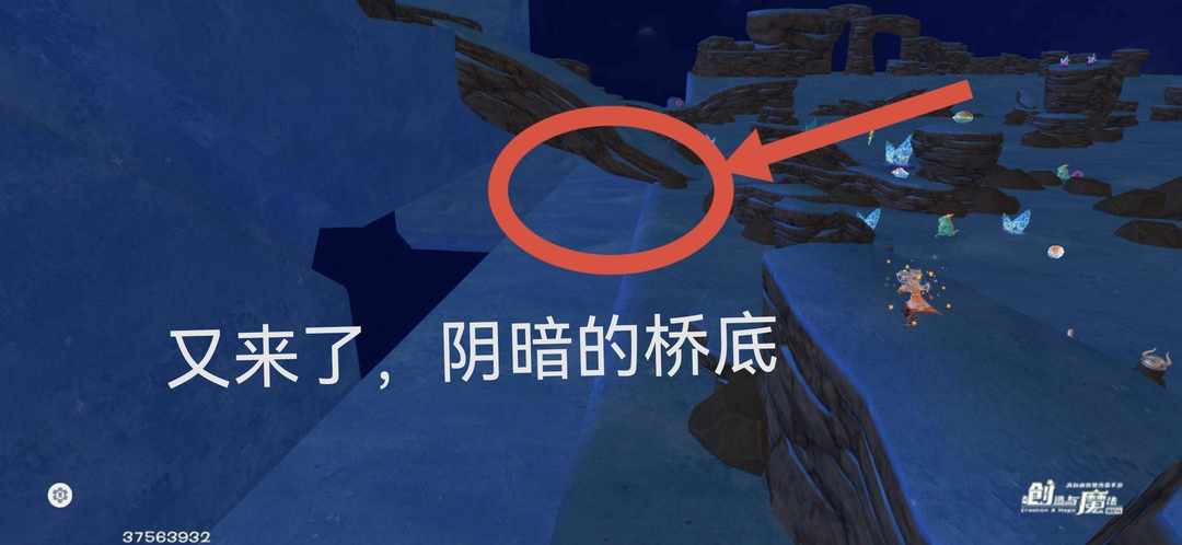 [图片]