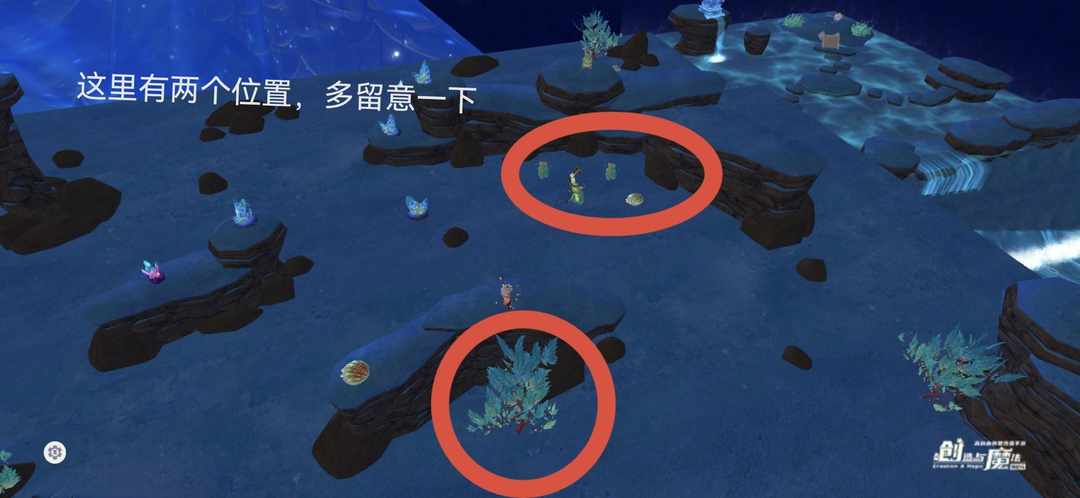 [图片]