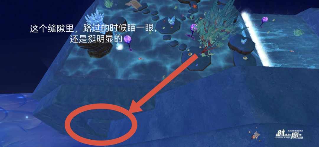 [图片]