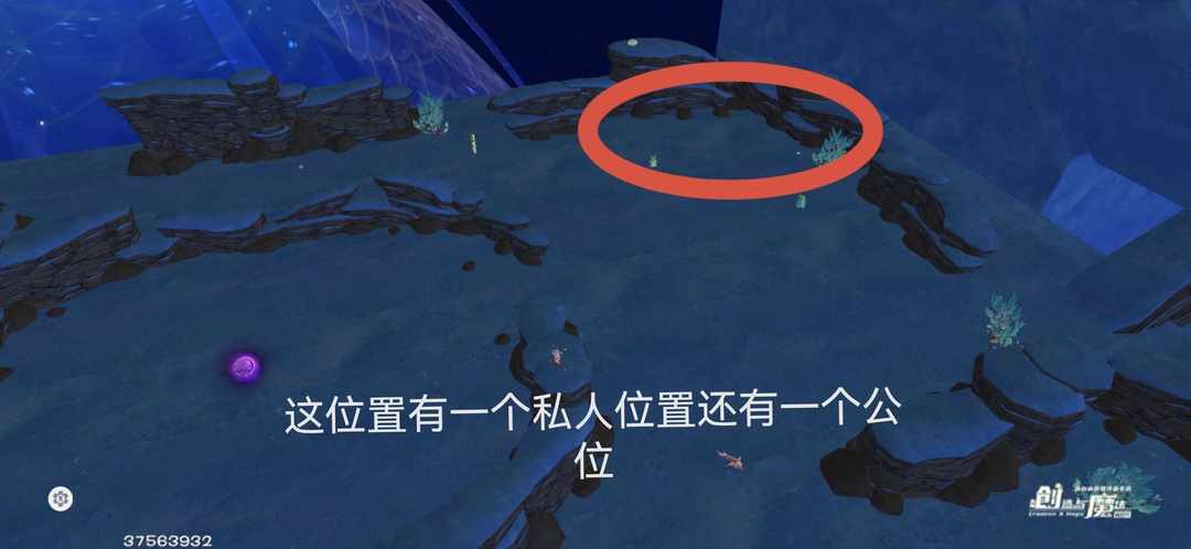 [图片]