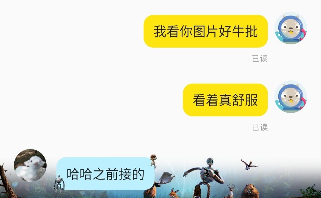 [图片]