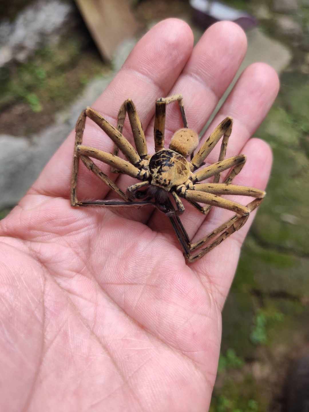 [图片]