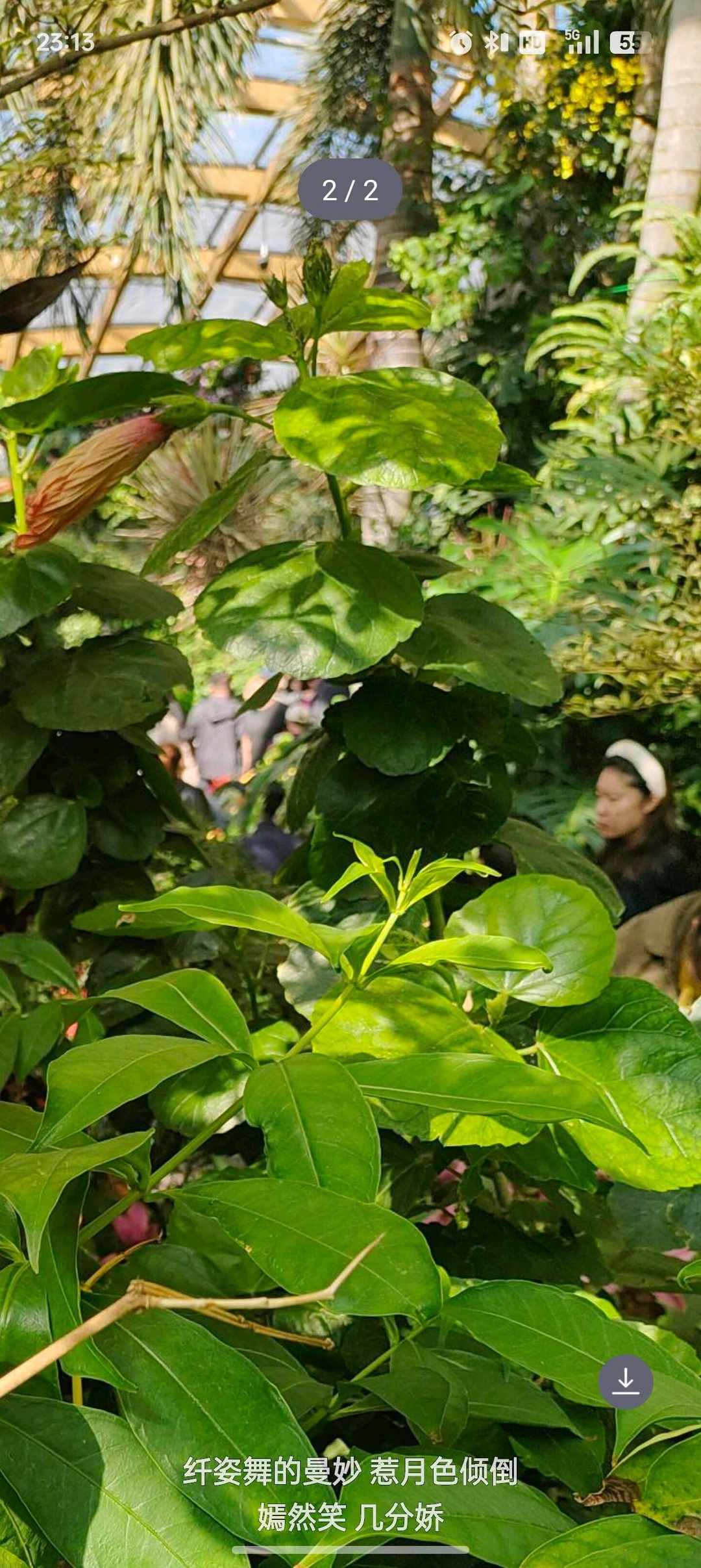 [图片]