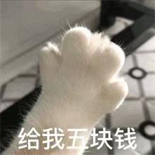 [图片]