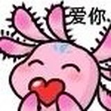 [图片]