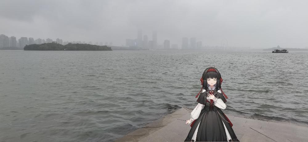 [图片]