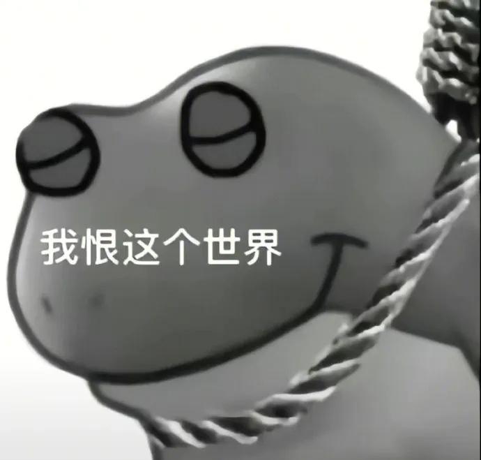 [图片]