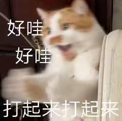 [图片]