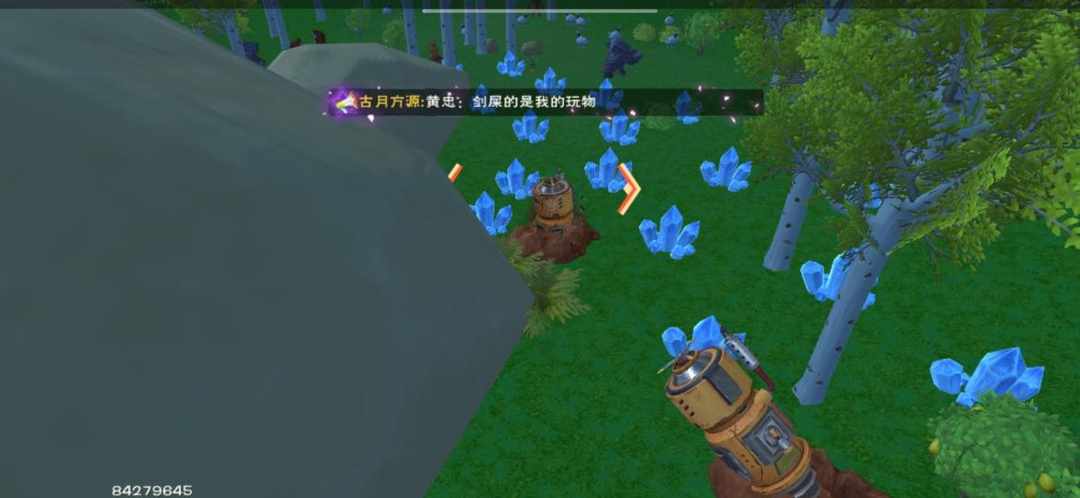 [图片]