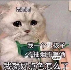[图片]
