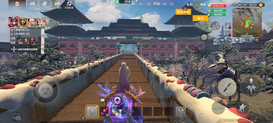 [图片]