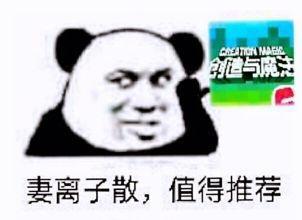 [图片]