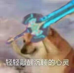 [图片]