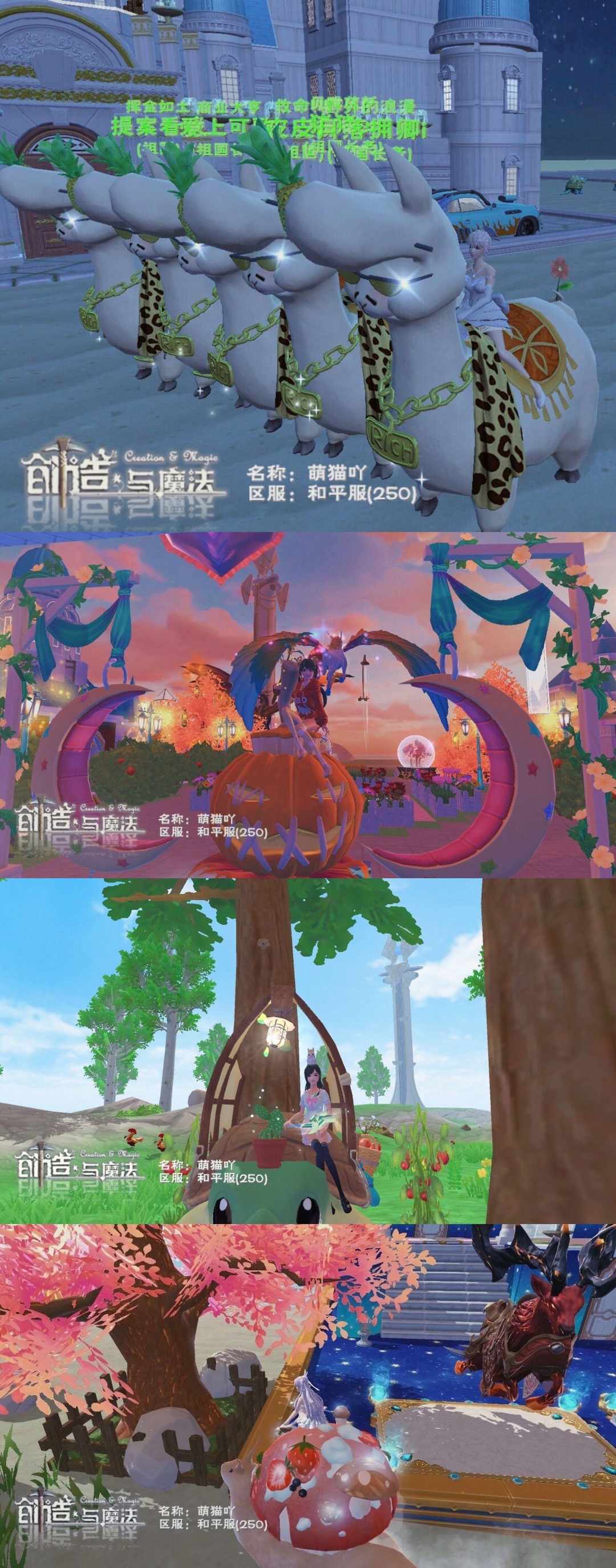 [图片]