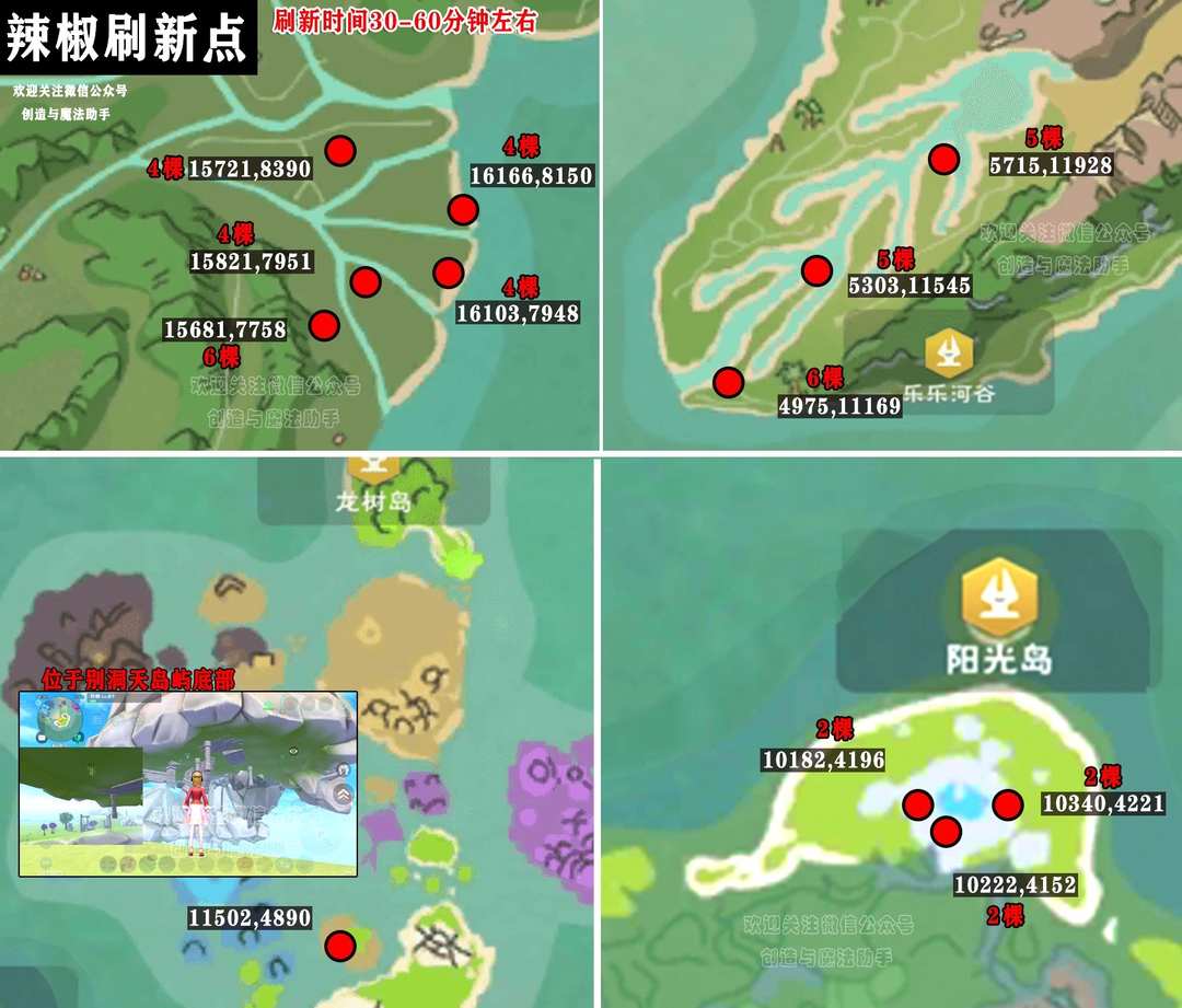 [图片]