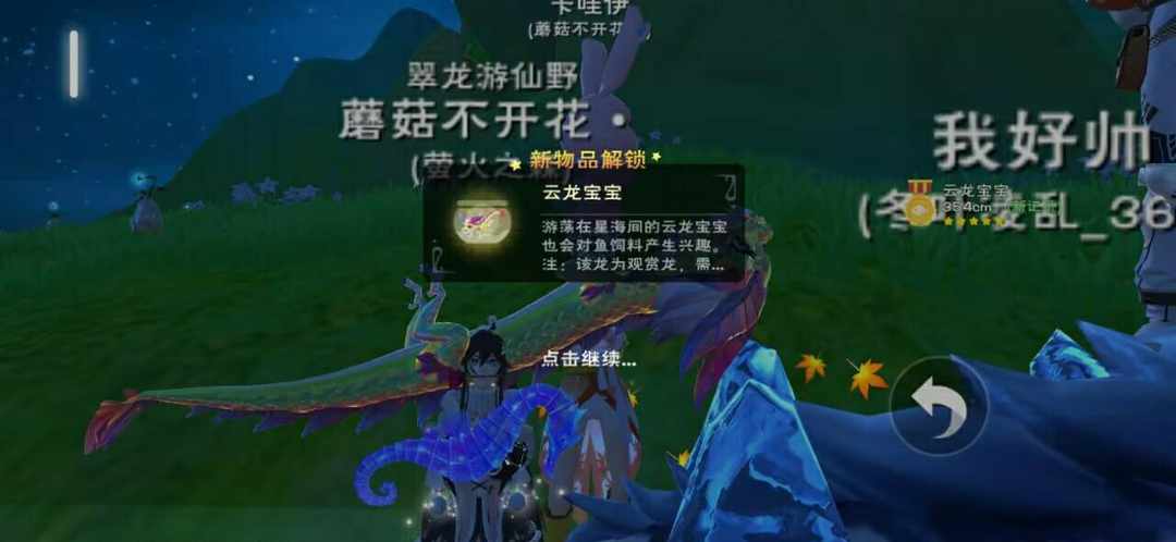 [图片]