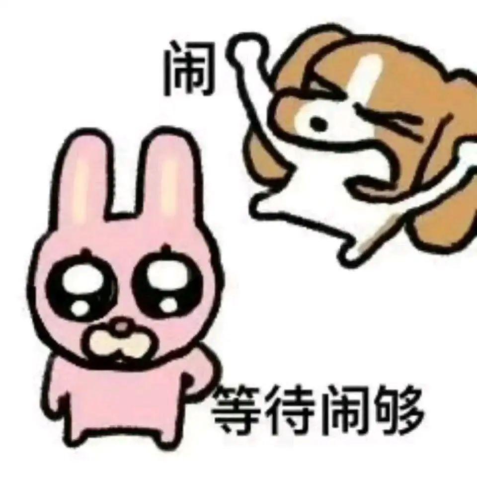 [图片]