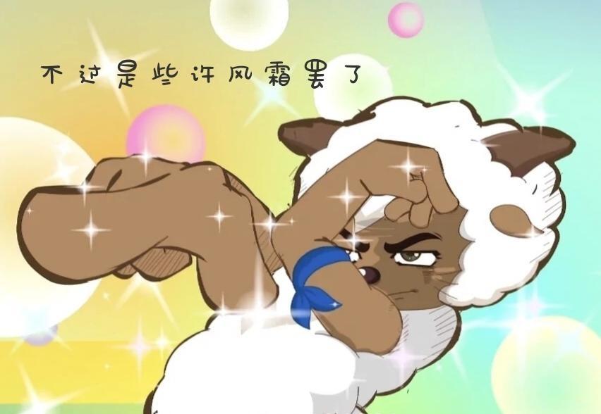 [图片]