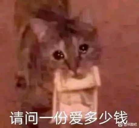 [图片]