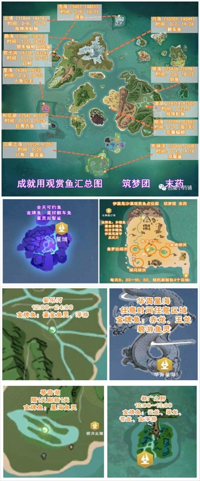 [图片]