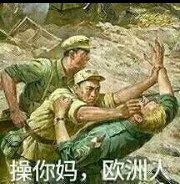 [图片]