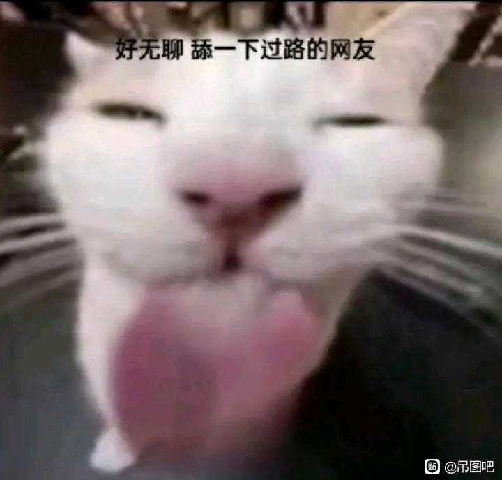 [图片]