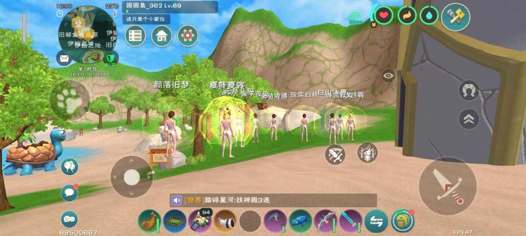 [图片]