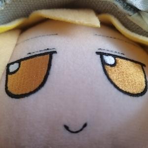 [图片]