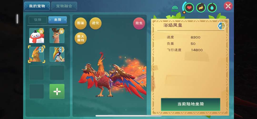 [图片]