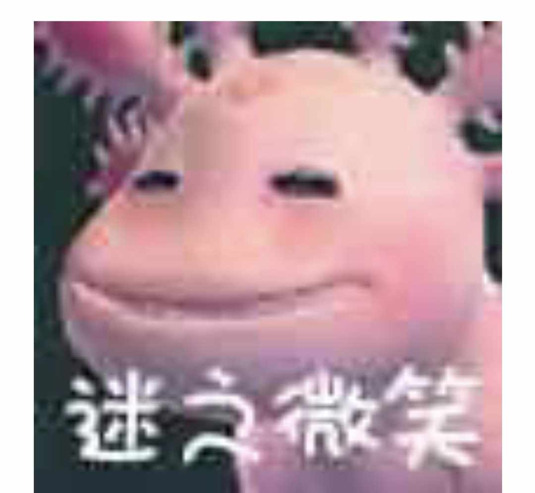 [图片]