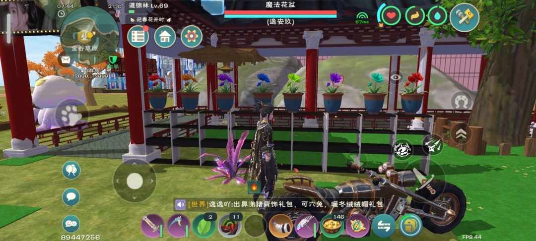 [图片]