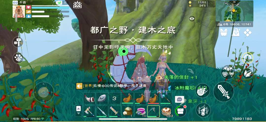 [图片]