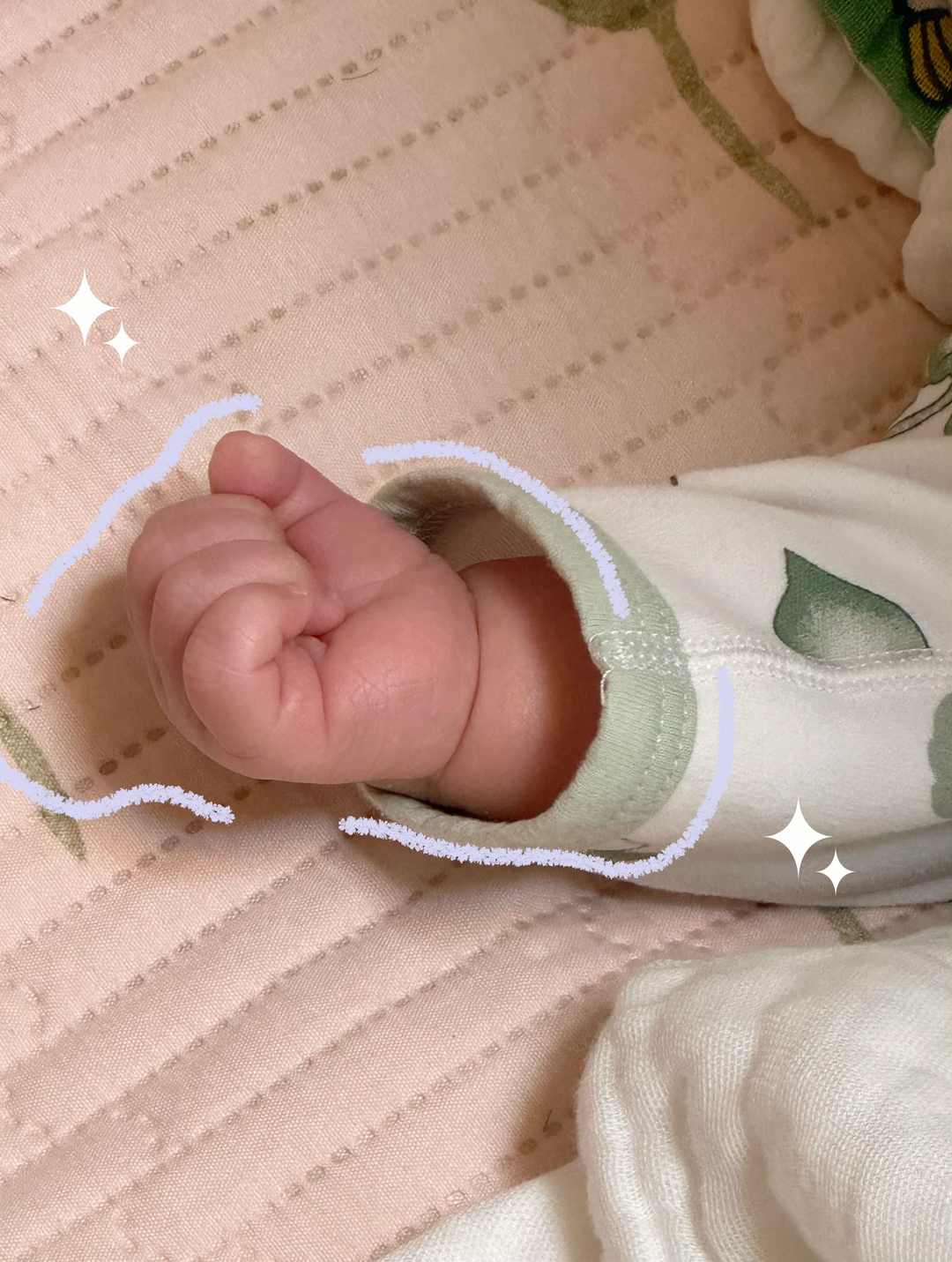 [图片]