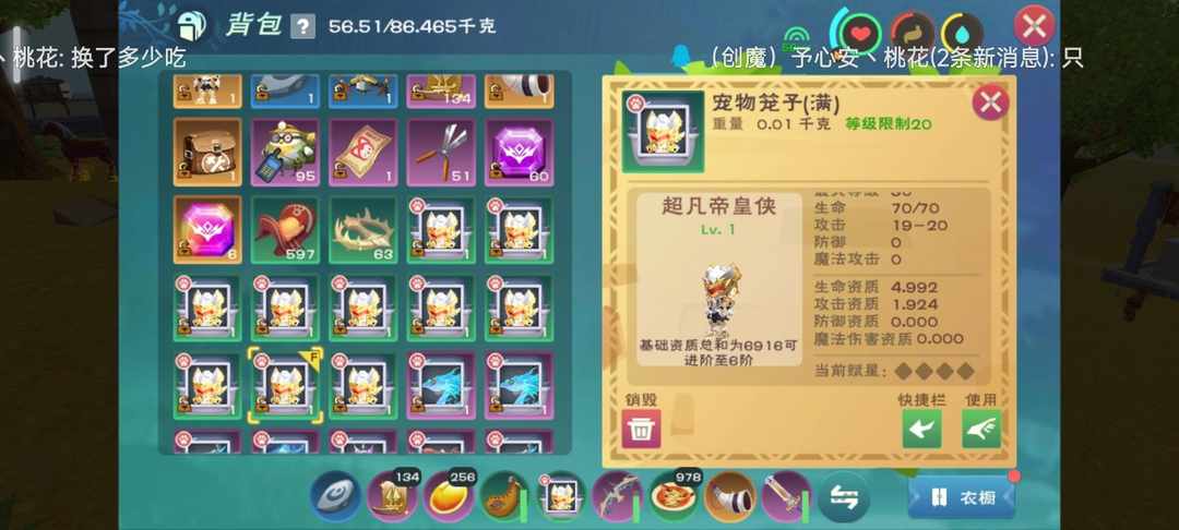 [图片]