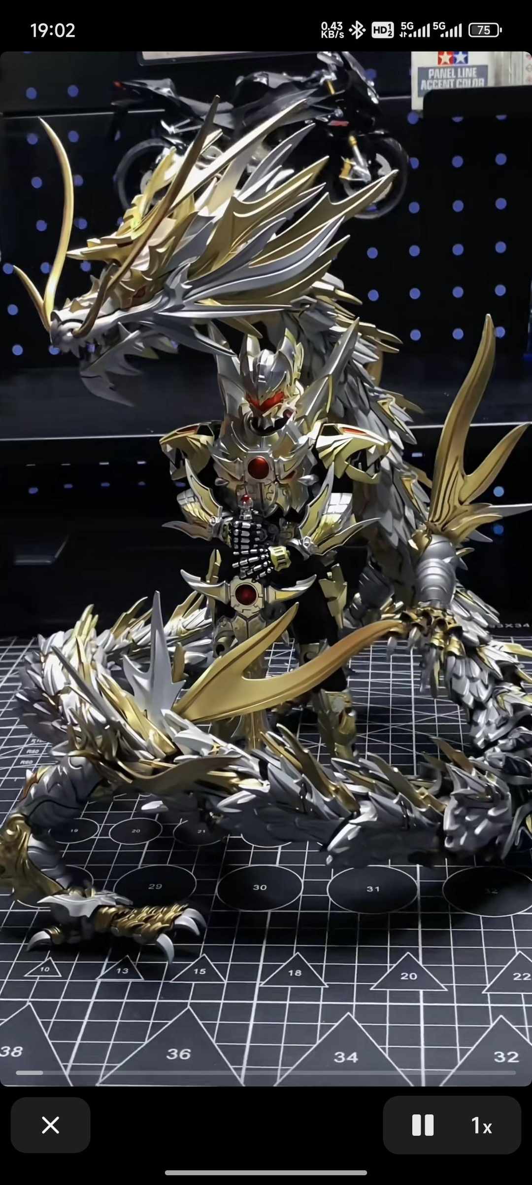 [图片]
