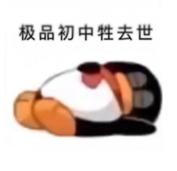 [图片]