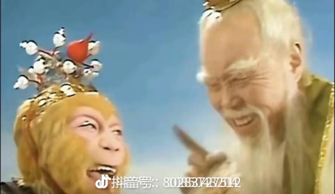 [图片]