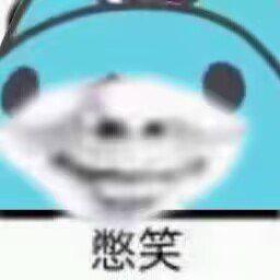 [图片]
