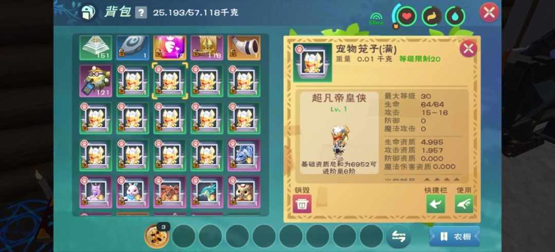 [图片]