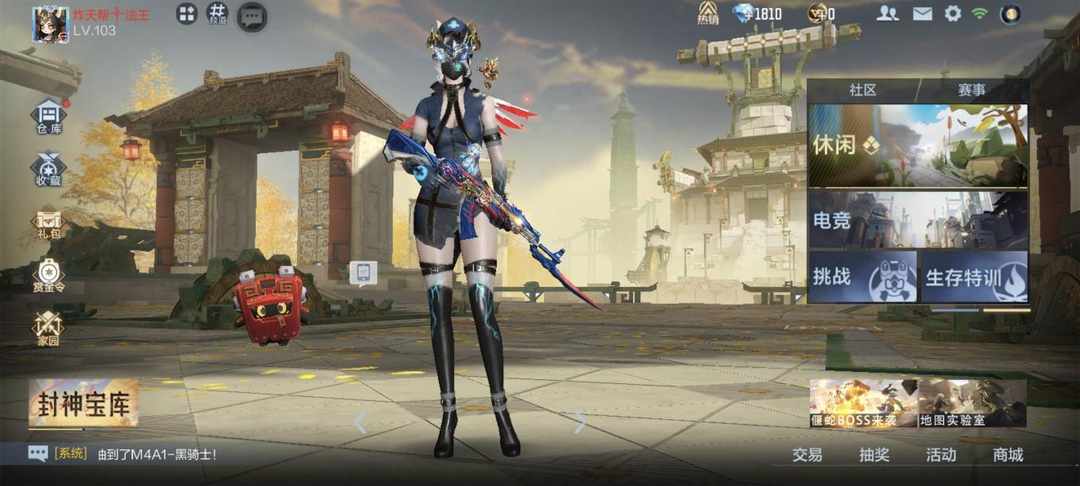 [图片]