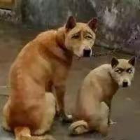 [图片]