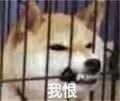[图片]