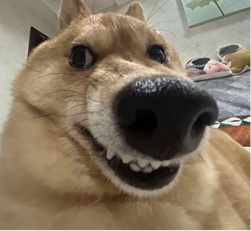 [图片]