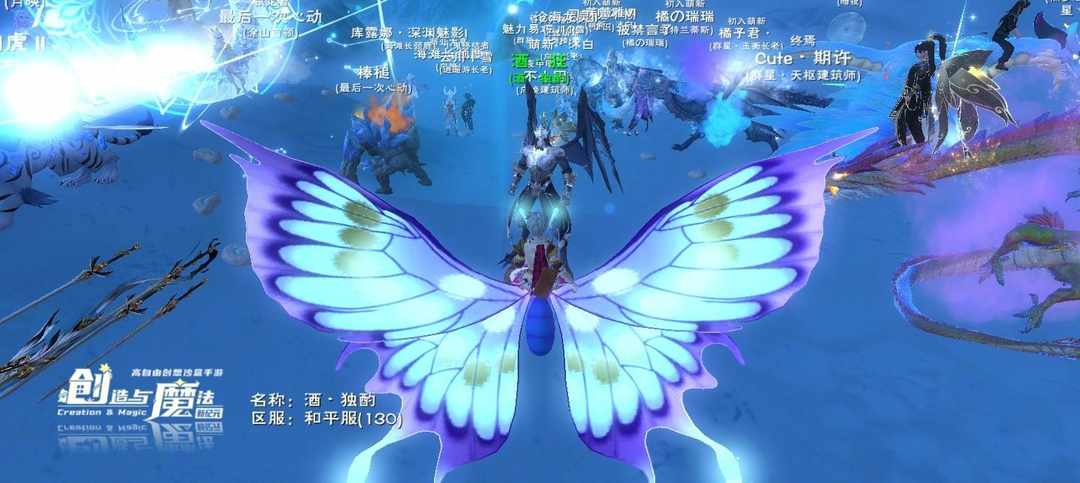 [图片]