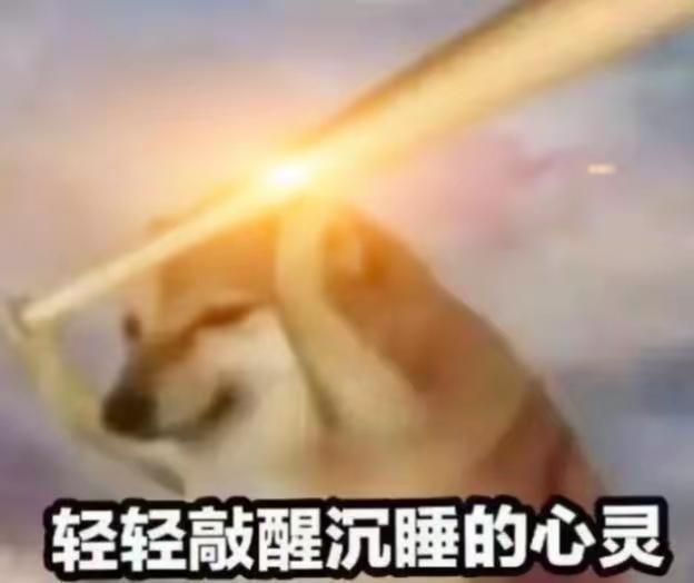 [图片]