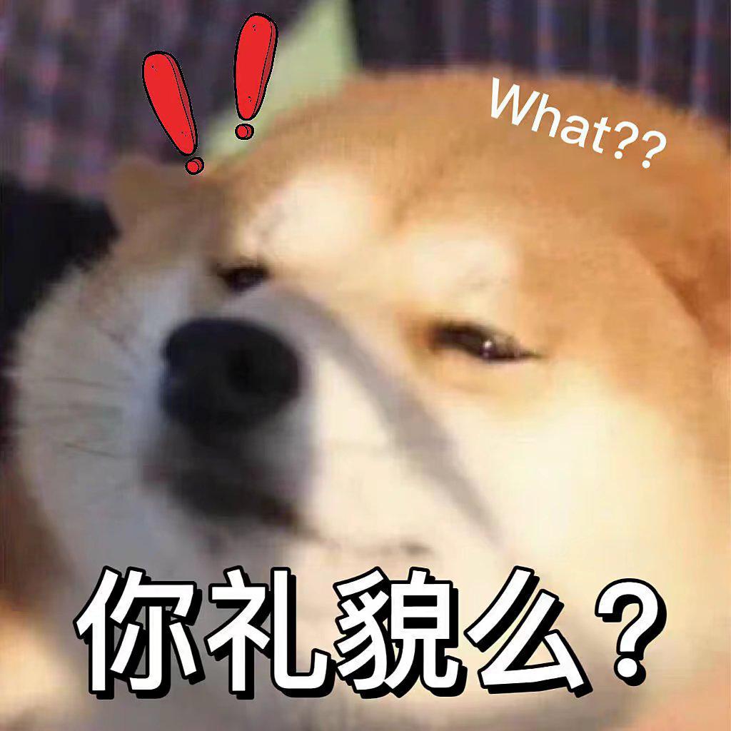 [图片]