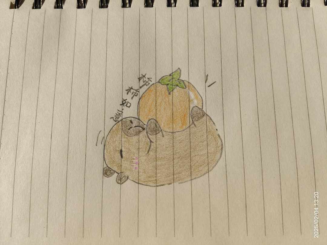 [图片]