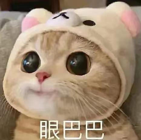 [图片]