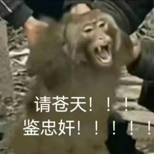 [图片]