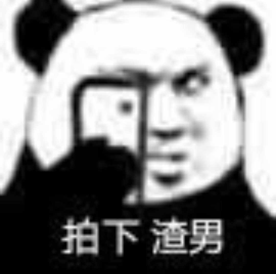 [图片]
